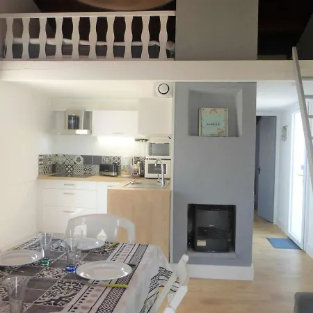 Maison Bretignolles-Sur-Mer, 2 Pieces, 5 Personnes - Fr-1-224A-41 *