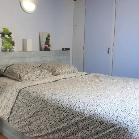 Maison Bretignolles-Sur-Mer, 2 Pieces, 5 Personnes - Fr-1-224A-41 Feriehus Brétignolles-sur-Mer